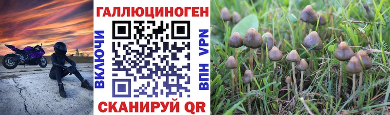 Псилоцибиновые грибы прущие грибы  Заволжье 